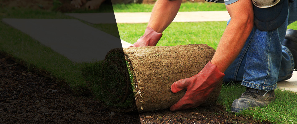 El Segundo Landscapers
